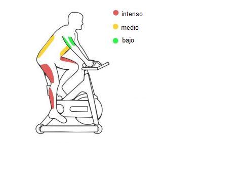 muscles-veo-min-300x283-espanol