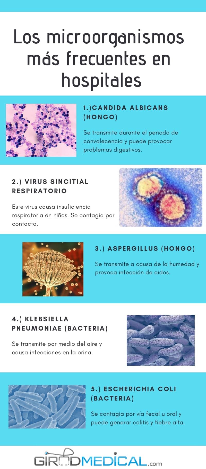 bacterias en hospitales