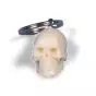 Llavero de argolla, calavera W40001