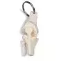 Llavero de argolla, rodilla W40008