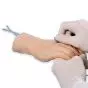 Mano para práctica de venipuntura 3B Scientific W43035