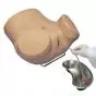 Simulador avanzado de cateterismo femenino 3B Scientific W45060