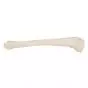 Tibia, izquierda A35/3L