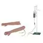 Modelo de brazo para inyección y punción venosa e intramuscular