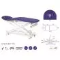 Camilla de masaje eléctrica multifuncional de 3 cuerpos Ecopostural C7521