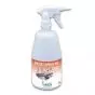 Detergente desinfectante Anios Anioxy-espray WS 