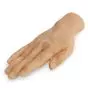 Mano para práctica de venipuntura 3B Scientific W43035