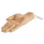 Mano para práctica de venipuntura 3B Scientific W43035