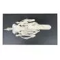 Esqueleto de pato  (Anas platyrhynchos) T30035