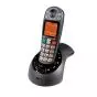 Teléfono amplificado Geemarc Amplidect 285