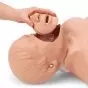 Torso de adulto para reanimación cardiopulmonar W44597