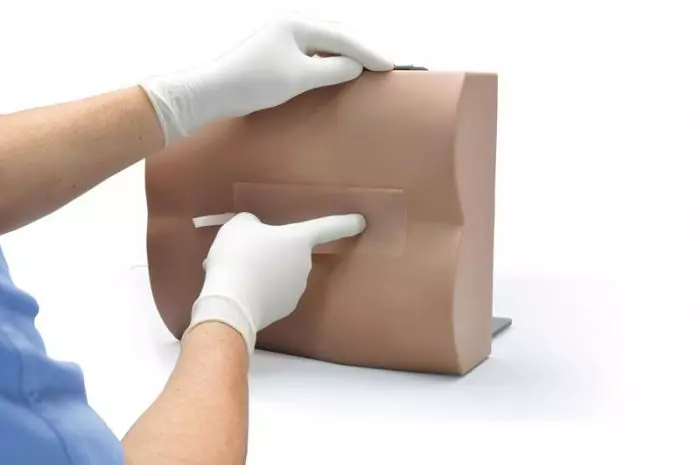 Simulador de punción lumbar Erler Zimmer R11030