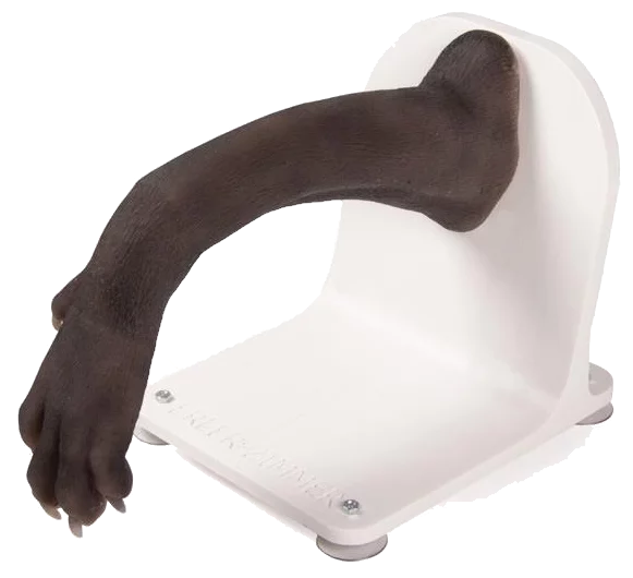 Simulador de vendaje para pata de perro Erler Zimmer