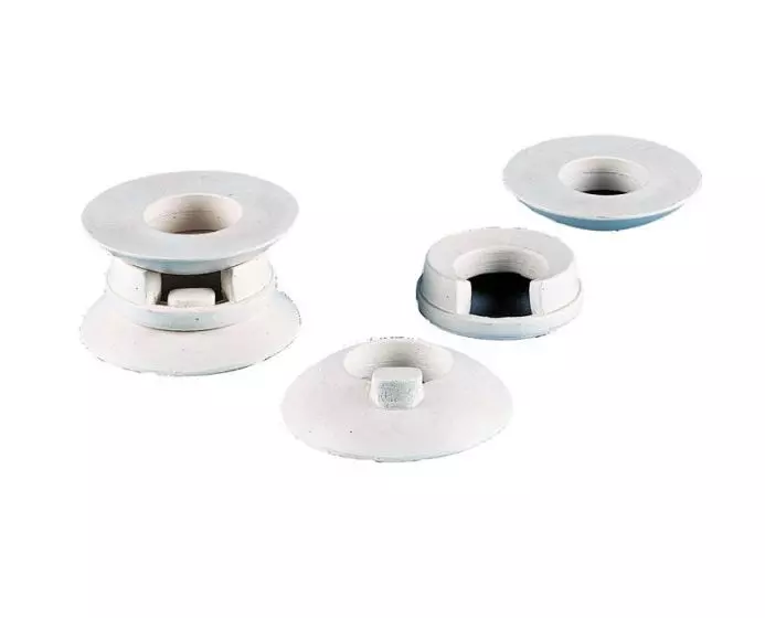 Modelo esquemático de las articulaciones de la cabeza 4079 Erler Zimmer