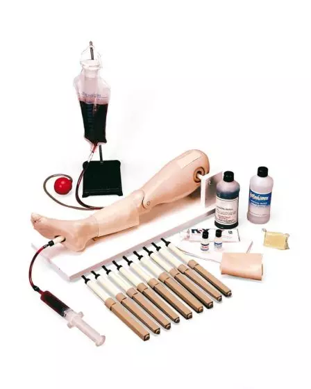 Modelo Pediátrico de Infusión Intraósea de Pierna Erler Zimmer R10143