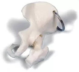 Llavero de argolla, cadera W40007