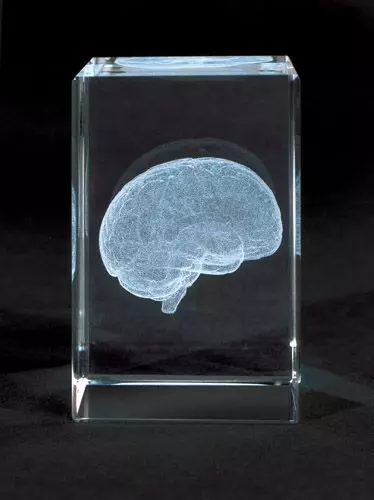 MEDart™ Bloque de Vidrio Cerebro MAC15G