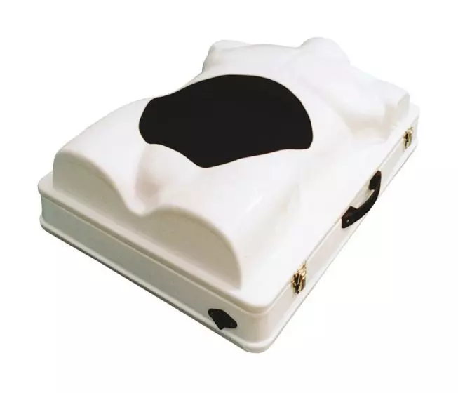 Torso para simulación de laparoscopia Erler Zimmer R10084