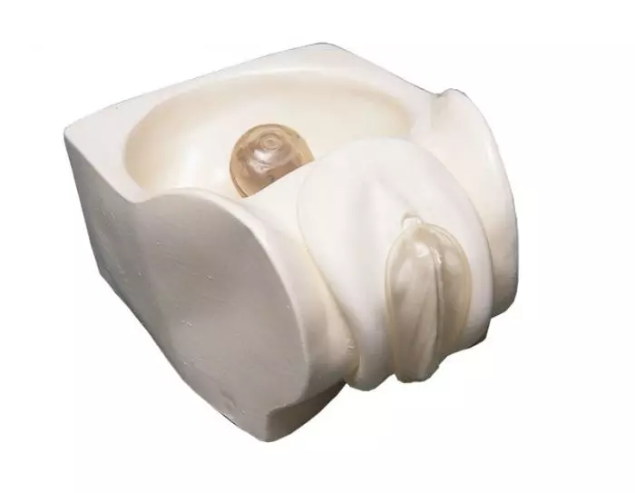 Simulador femenino para métodos anticonceptivos R10128 Erler Zimmer