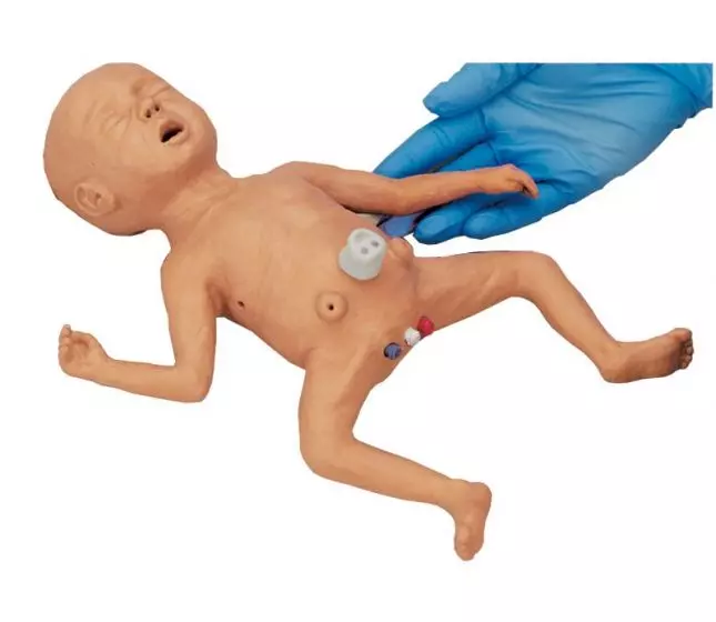 Modelo de bebé prematuro Erler Zimmer BA90
