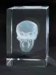 MEDart™ Bloque de Vidrio Cráneo MAA20G