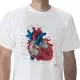 Camiseta anatómica, Corazón, XL W41017