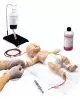 Maniquí para análisis vasculares Nita Newborn (Maniquí de primeros auxilios) Erler Zimmer