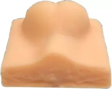 Modelo de entrenamiento para castración canina