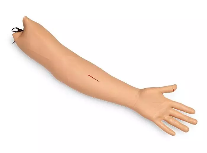 Simulatore di suture su braccio R10025 Erler Zimmer