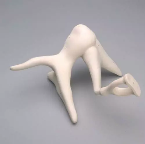 Modelo de huesecillos del oído aumentado 20 veces E130 Erler Zimmer