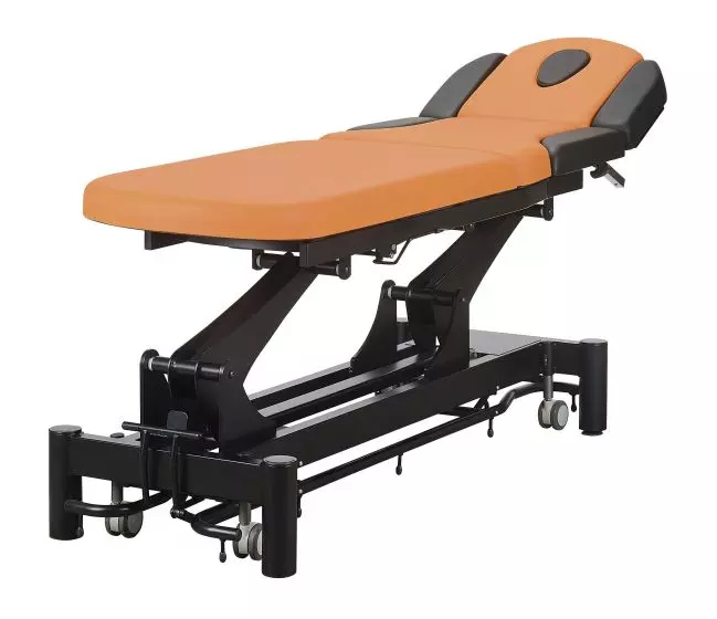 Camilla de masaje eléctrica para fisioterapia de 3 planos Carina 777 07