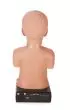 Simulador de auscultación de corazón y pulmón de niño R11000 Erler Zimmer