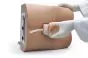 Simulador de punción lumbar Erler Zimmer R11030