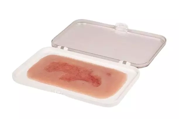 Modelo de una úlcera arterial de pierna en fase de epitelización