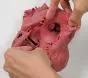 Modelo de corazón G520 Erler Zimmer