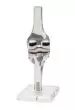 Modelo de rodilla con endoprótesis Erler Zimmer 4449