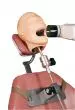 Maniquí dental para Rayos X Erler Zimmer R17001