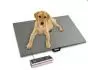 Báscula veterinaria Soehnle 7858 con plataforma de acero inoxidable 