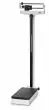 Bascula Pesa Persona Mecánica de clase III con tallímetro telescópico ADE M318300