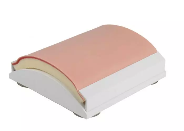 Simulador de sutura de la piel 7060 Erler Zimmer