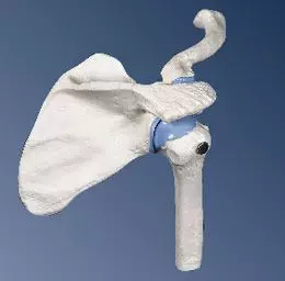 Mini-articulación del hombro, sin base A86