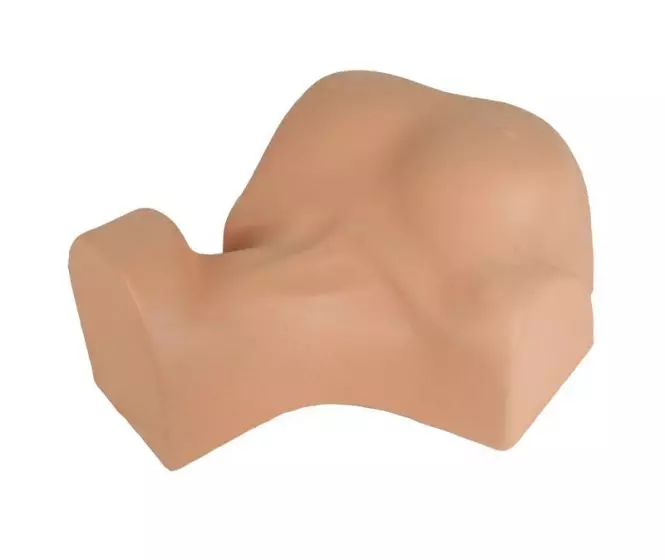 Modelo para simulación de la punción venosa central Erler Zimmer 7003