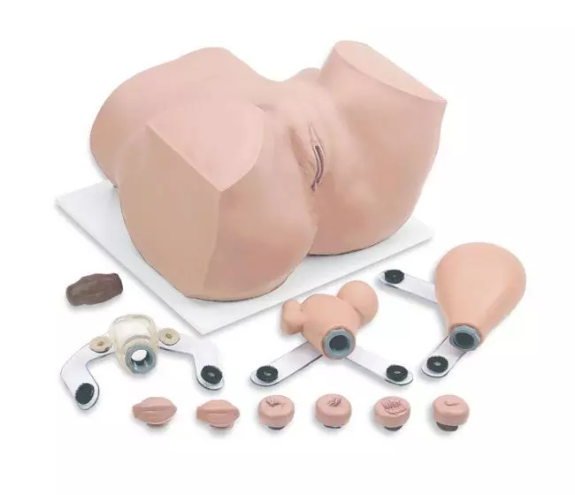 Maniquí de Entrenamiento Ginecológico Erler Zimmer R10182