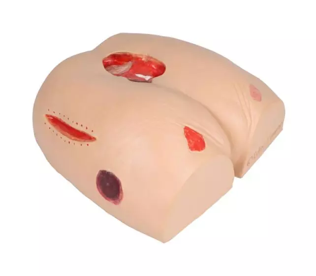 Simulador de úlceras por presión Erler Zimmer