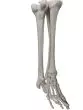 Modelo de esqueleto de pierna recta Mediprem