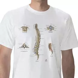 Camiseta anatómica, Columna vertebral, L W41032