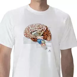 Camiseta anatómica, Encéfalo, L W41040
