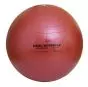 Bola de gimnasia Sissel Securemax