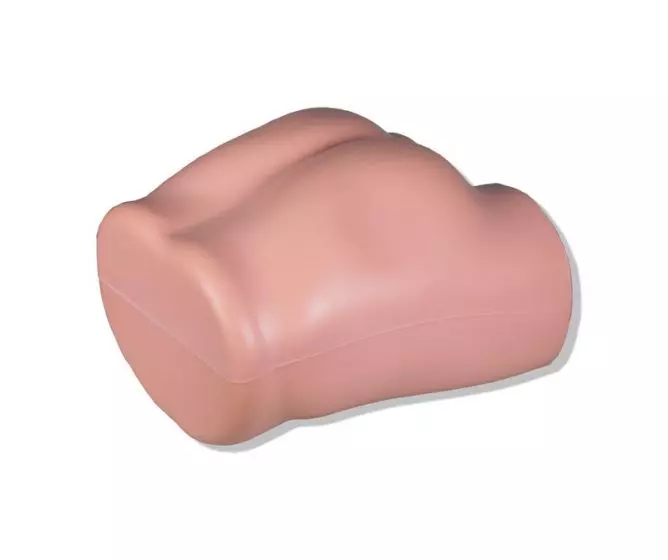 Simulador de inyección intramuscular y de biopsia de la médula ósea 7090 Erler Zimmer