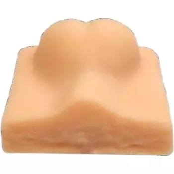 Modelo de entrenamiento para castración canina